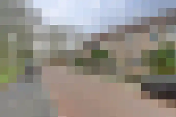 Rosmolen 18 Zevenbergen thumbnail 46