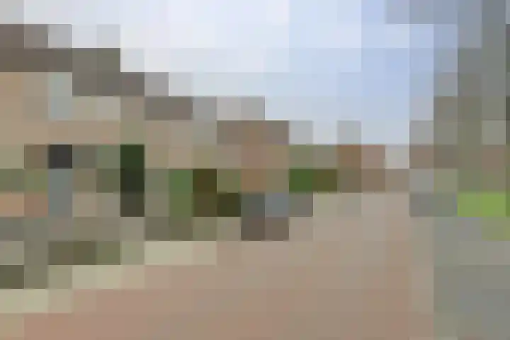Rosmolen 18 Zevenbergen thumbnail 48