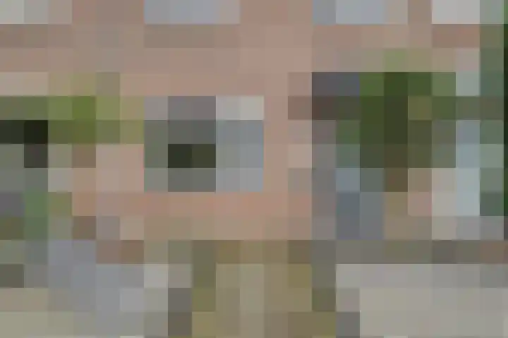 Rosmolen 18 Zevenbergen thumbnail 49