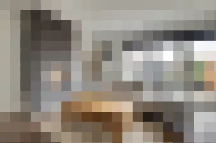 Rosmolen 18 Zevenbergen thumbnail 5