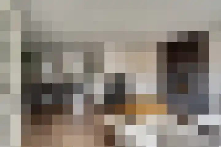 Rosmolen 18 Zevenbergen thumbnail 6