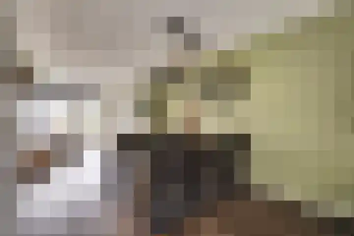 Rosmolen 18 Zevenbergen thumbnail 7
