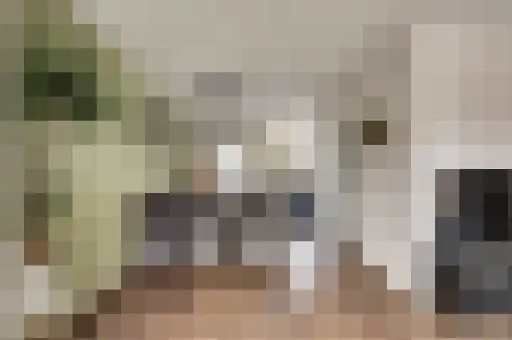 Rosmolen 18 Zevenbergen thumbnail 8