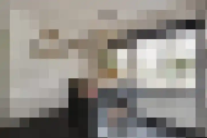 Rosmolen 18 Zevenbergen thumbnail 9