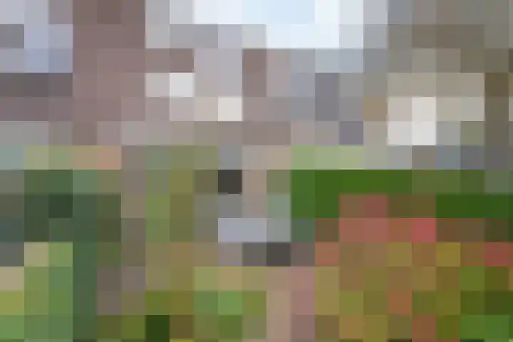 Rosmolen 180 Ridderkerk thumbnail 10