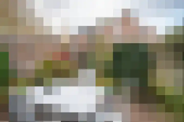 Rosmolen 180 Ridderkerk thumbnail 11