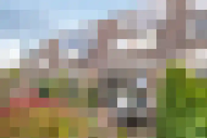 Rosmolen 180 Ridderkerk thumbnail 12