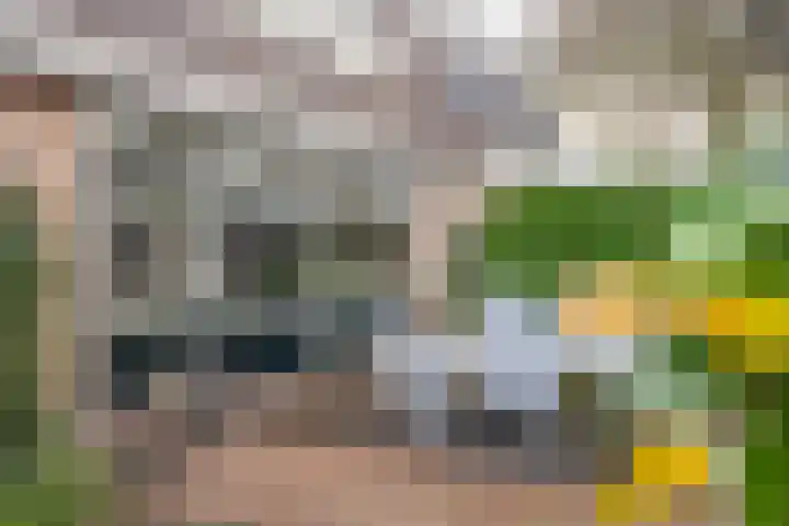 Rosmolen 180 Ridderkerk thumbnail 13