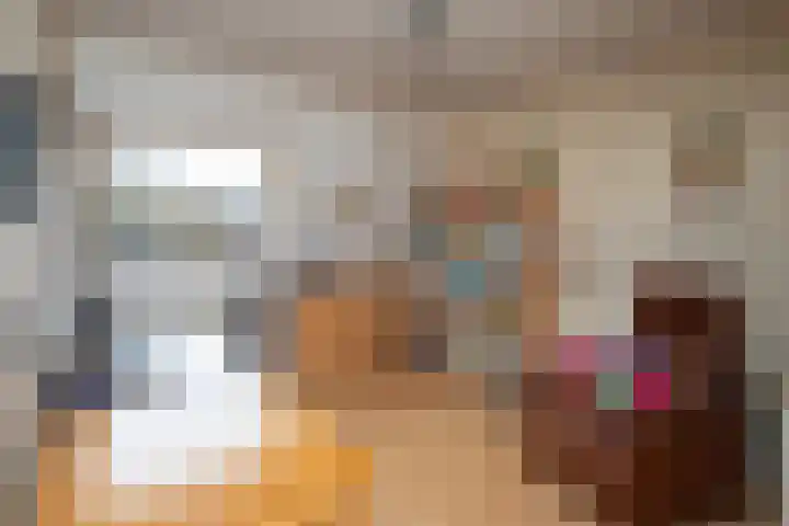 Rosmolen 180 Ridderkerk thumbnail 19