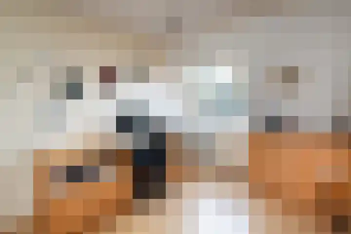 Rosmolen 180 Ridderkerk thumbnail 20