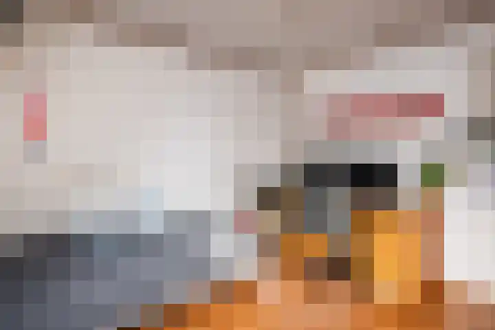 Rosmolen 180 Ridderkerk thumbnail 22