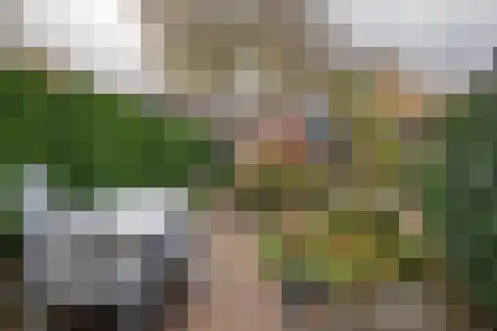 Rosmolen 180 Ridderkerk thumbnail 9
