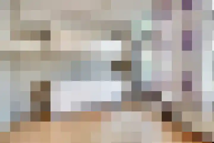 Rosmolen 188 Ridderkerk thumbnail 12