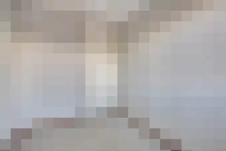 Rosmolen 188 Ridderkerk thumbnail 23