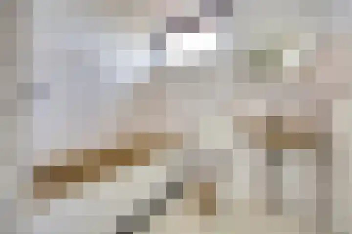 Rosmolen 188 Ridderkerk thumbnail 26