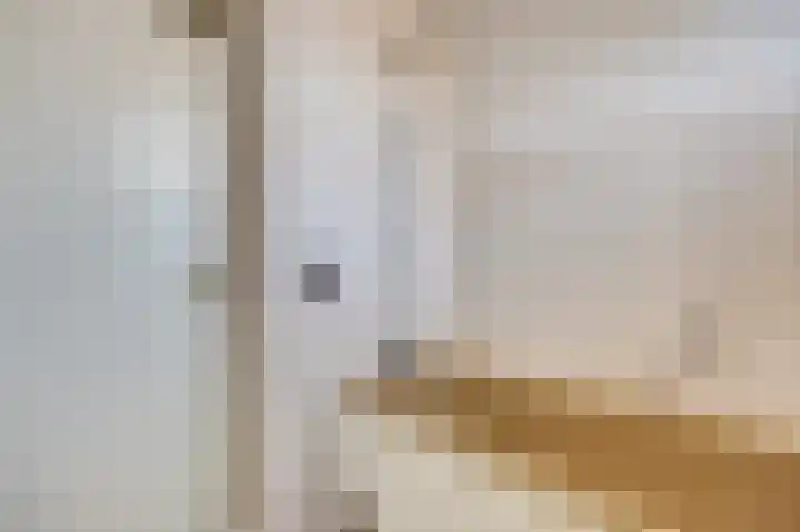 Rosmolen 188 Ridderkerk thumbnail 27