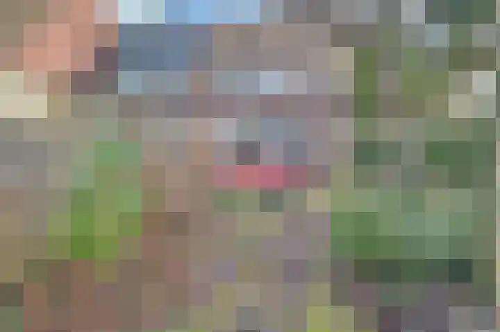 Rosmolen 188 Ridderkerk thumbnail 32