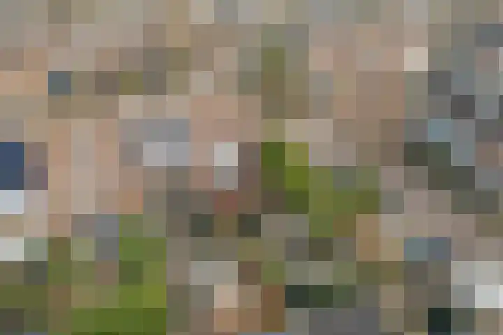 Rosmolen 188 Ridderkerk thumbnail 34