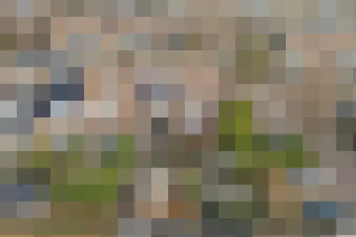 Rosmolen 188 Ridderkerk thumbnail 35
