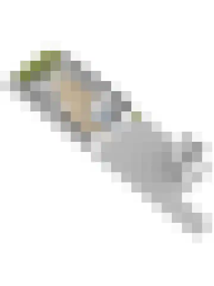 Rosmolen 188 Ridderkerk thumbnail 43