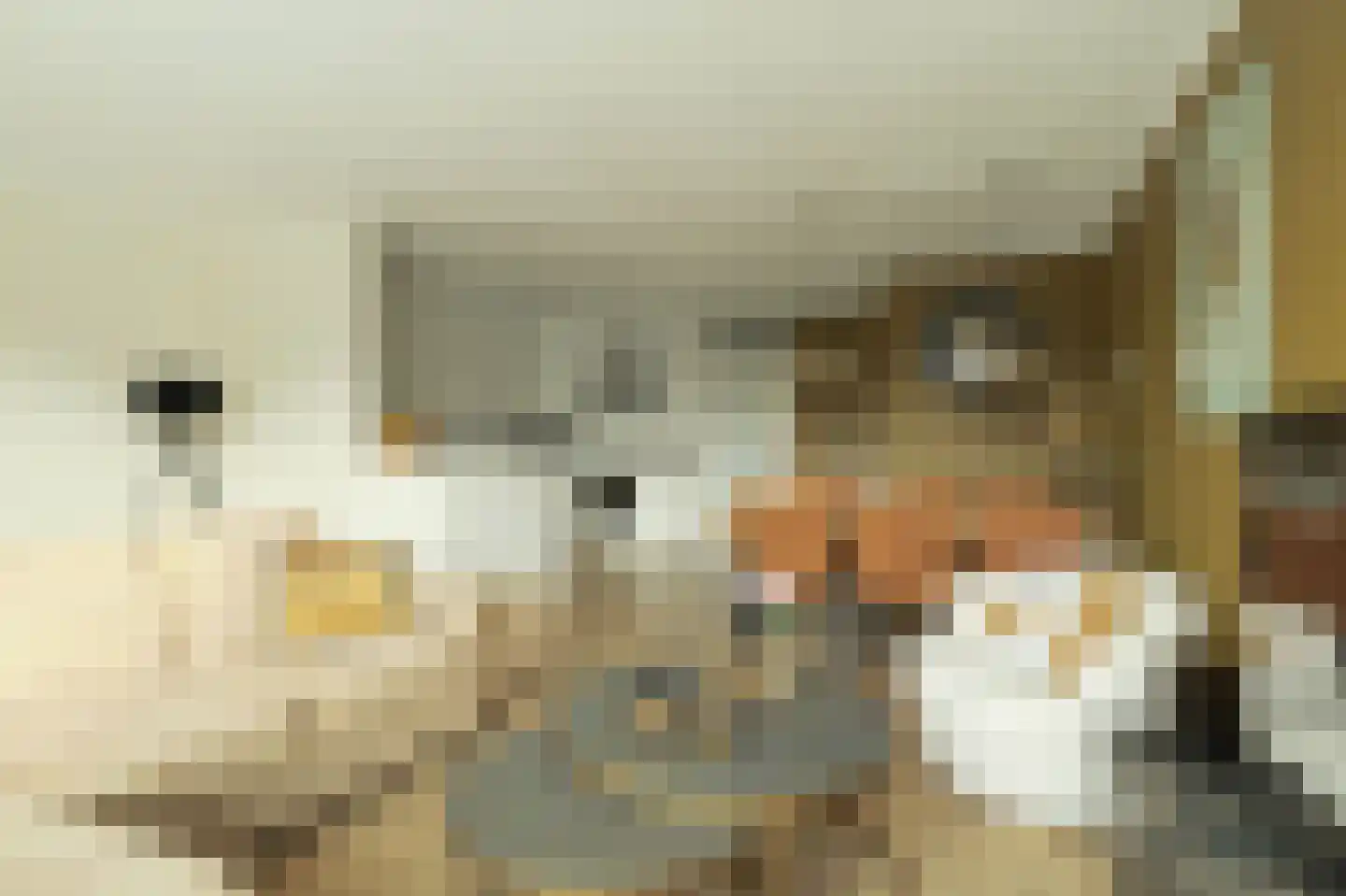 Rosmolen 19 Ridderkerk thumbnail 12