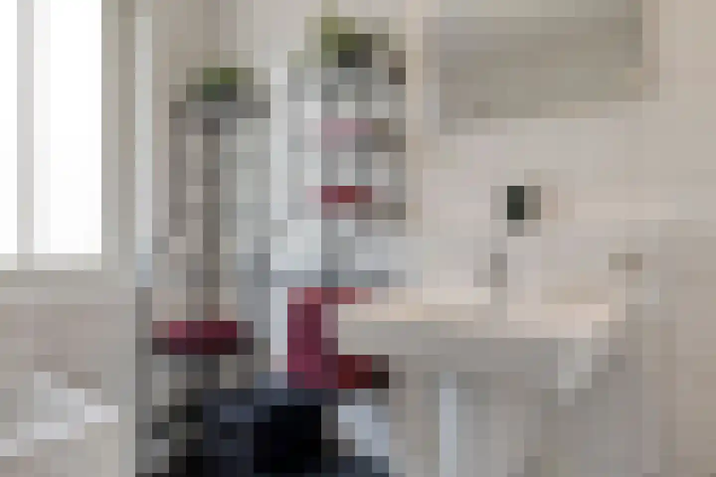 Rosmolen 20 a Reek thumbnail 25