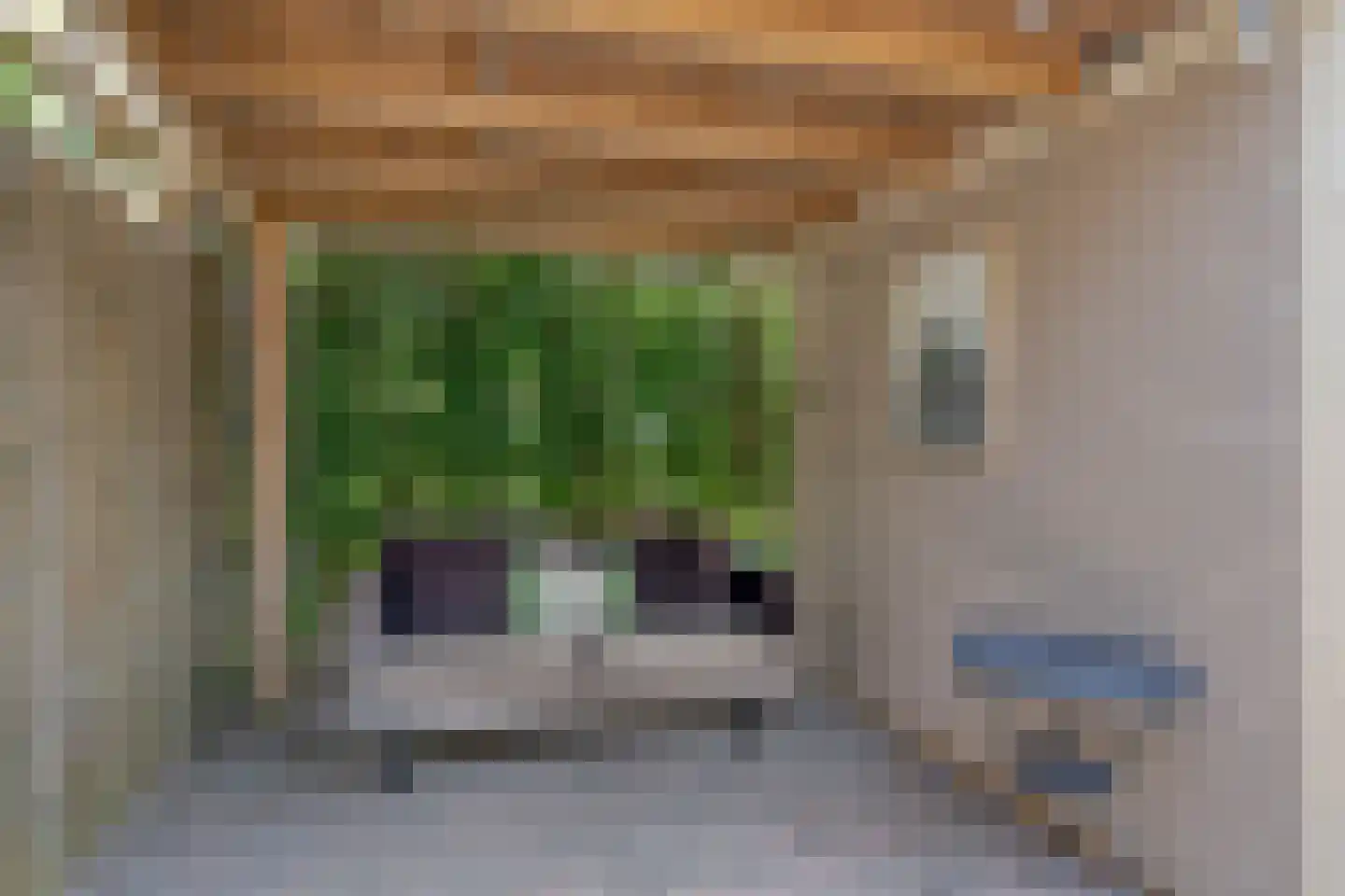 Rosmolen 20 a Reek thumbnail 34