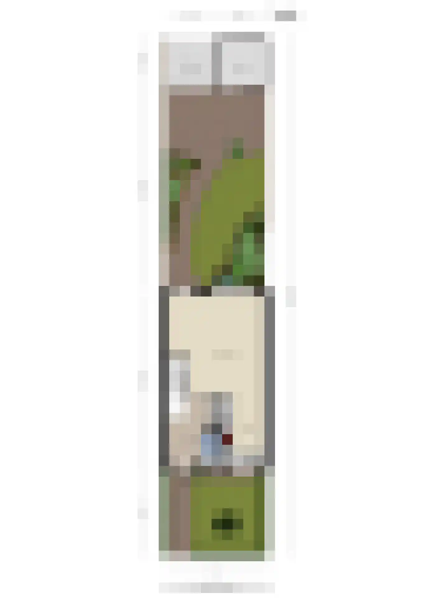 Rosmolen 20 a Reek thumbnail 41