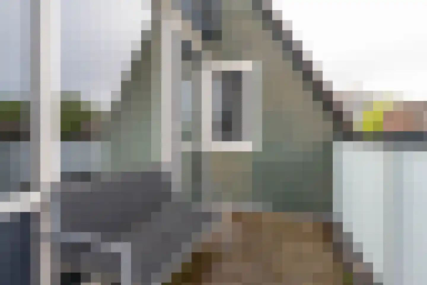 Rosmolen 22 Ridderkerk thumbnail 14