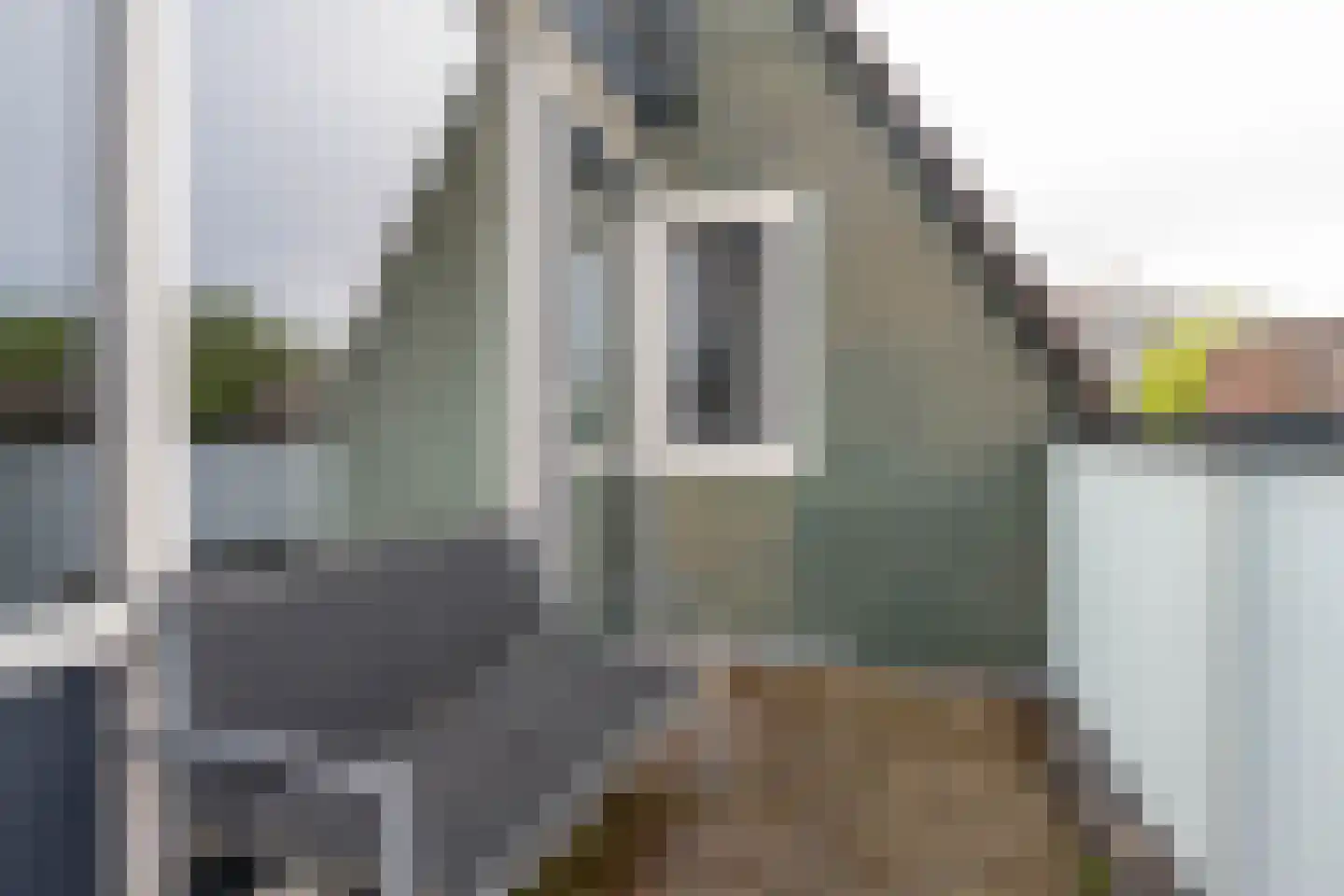 Rosmolen 22 Ridderkerk thumbnail 14
