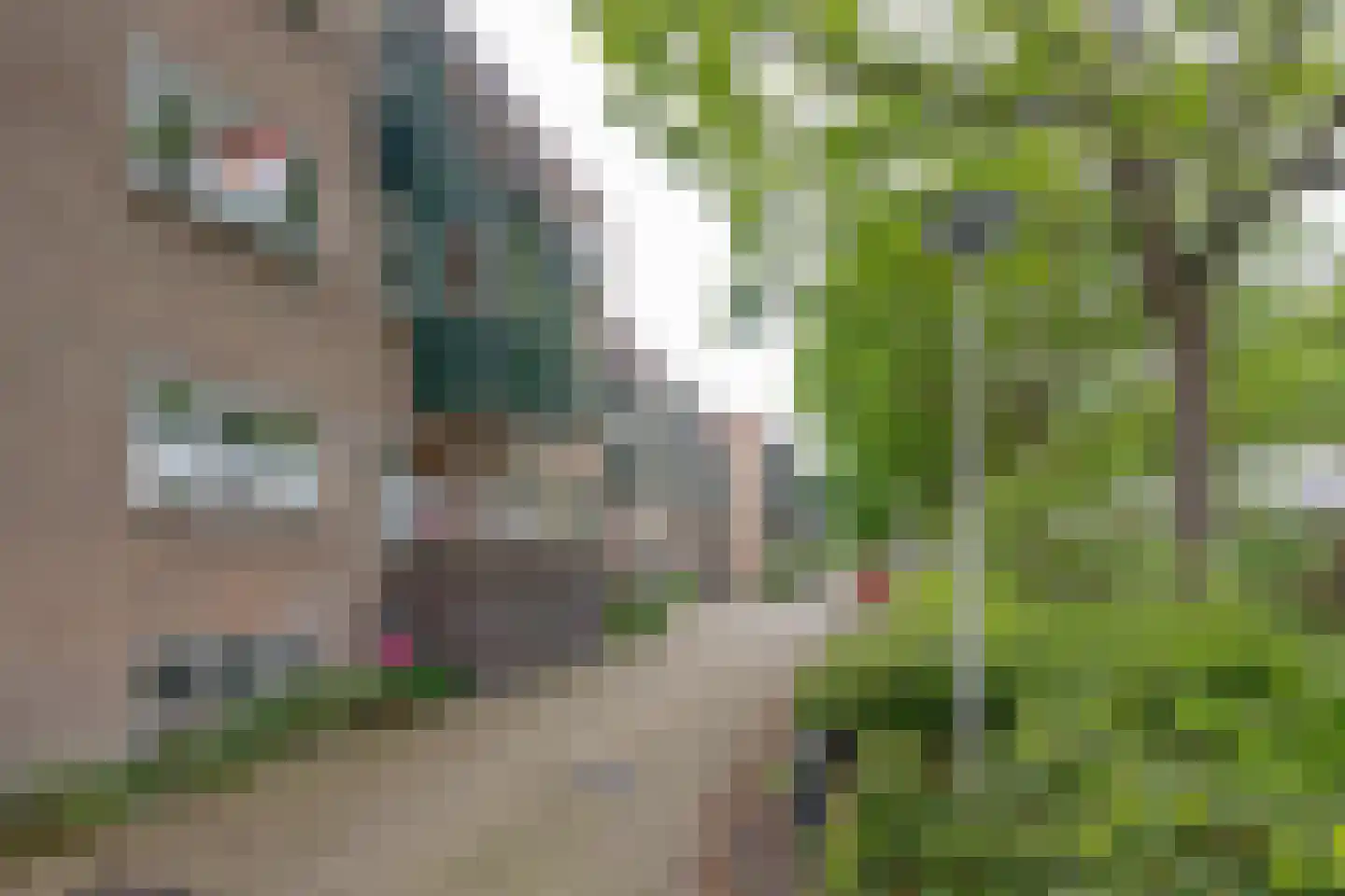 Rosmolen 22 Ridderkerk thumbnail 7