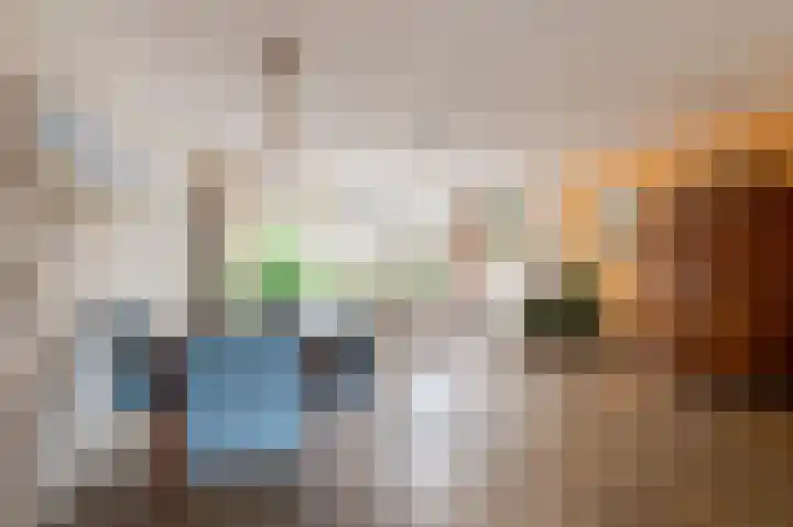 Rosmolen 22 Wijk bij Duurstede thumbnail 10