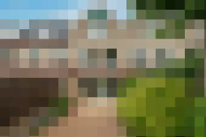 Rosmolen 22 Wijk bij Duurstede thumbnail 12