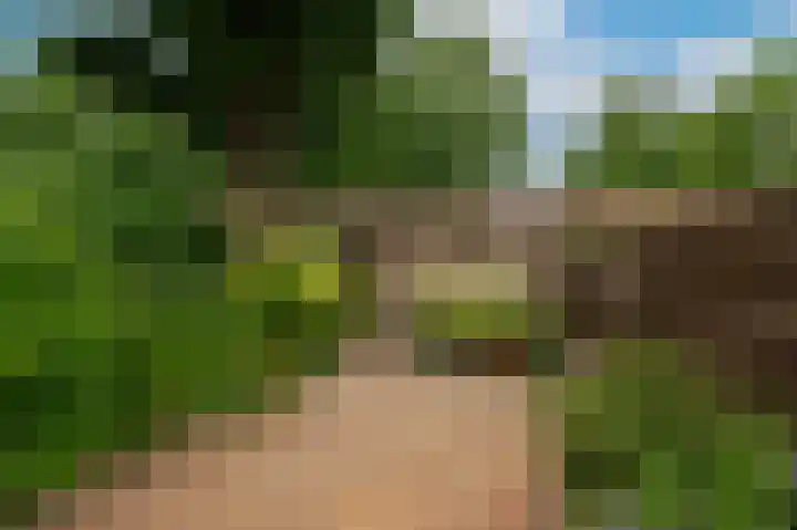 Rosmolen 22 Wijk bij Duurstede thumbnail 14