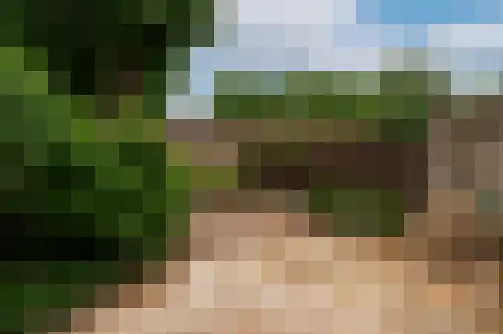 Rosmolen 22 Wijk bij Duurstede thumbnail 15
