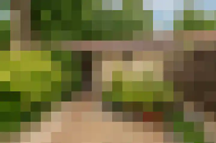 Rosmolen 22 Wijk bij Duurstede thumbnail 16