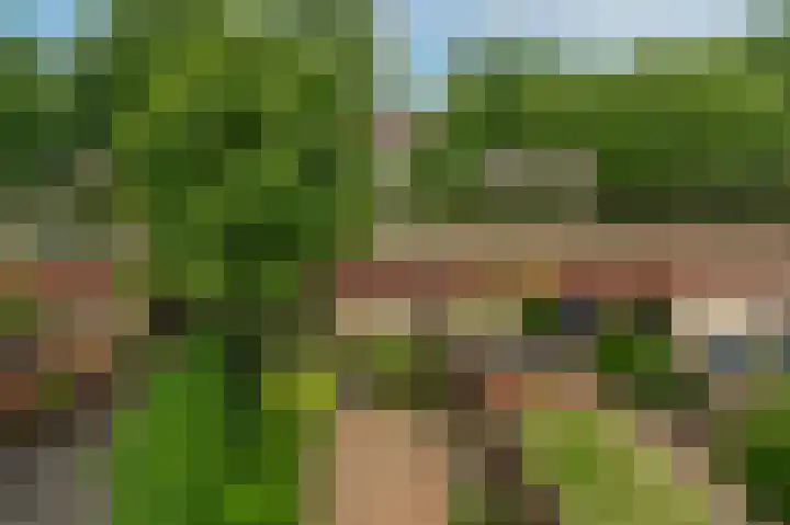Rosmolen 22 Wijk bij Duurstede thumbnail 17