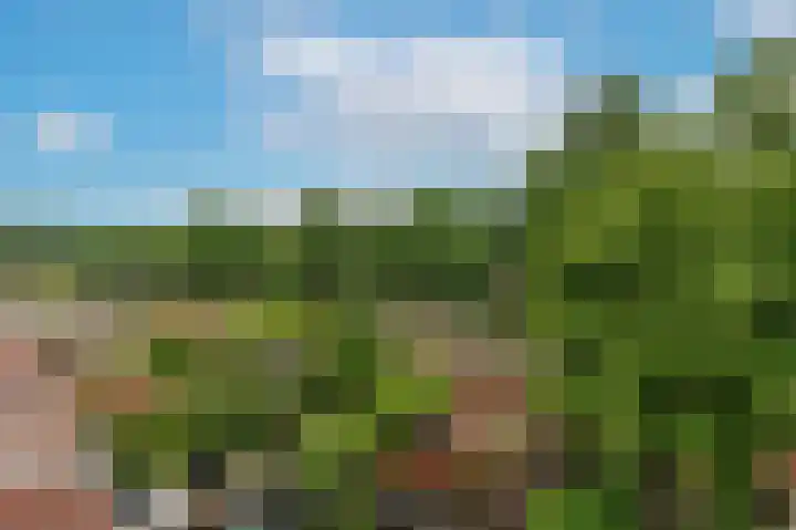 Rosmolen 22 Wijk bij Duurstede thumbnail 18