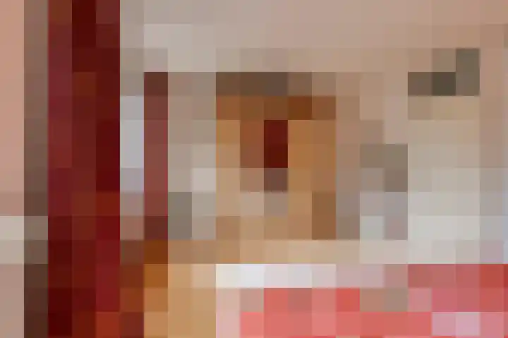 Rosmolen 22 Wijk bij Duurstede thumbnail 22