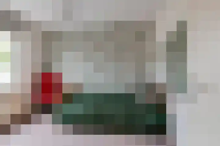 Rosmolen 22 Wijk bij Duurstede thumbnail 23