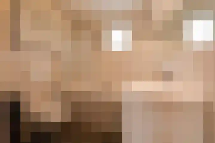Rosmolen 22 Wijk bij Duurstede thumbnail 25