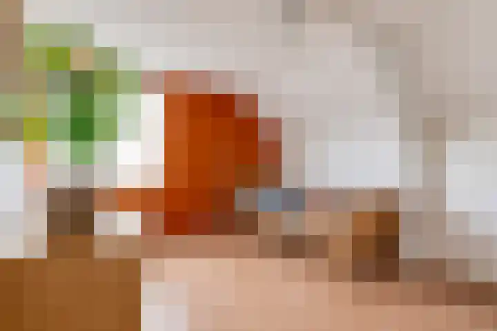 Rosmolen 22 Wijk bij Duurstede thumbnail 27