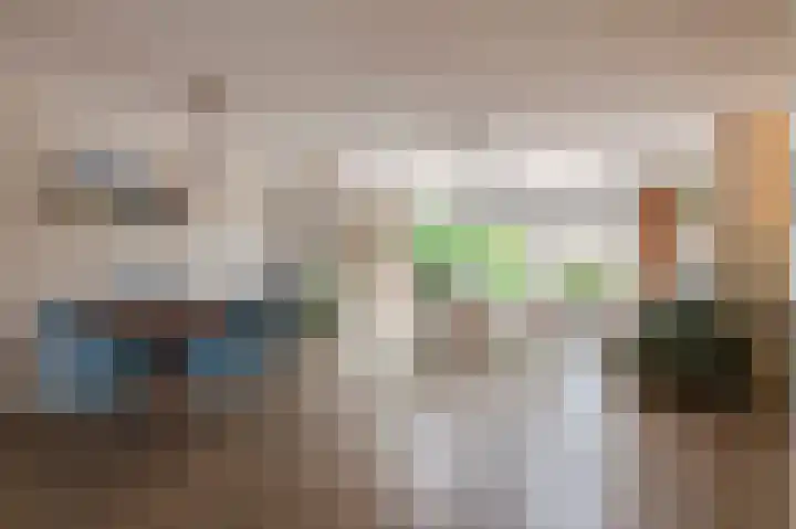 Rosmolen 22 Wijk bij Duurstede foto 3