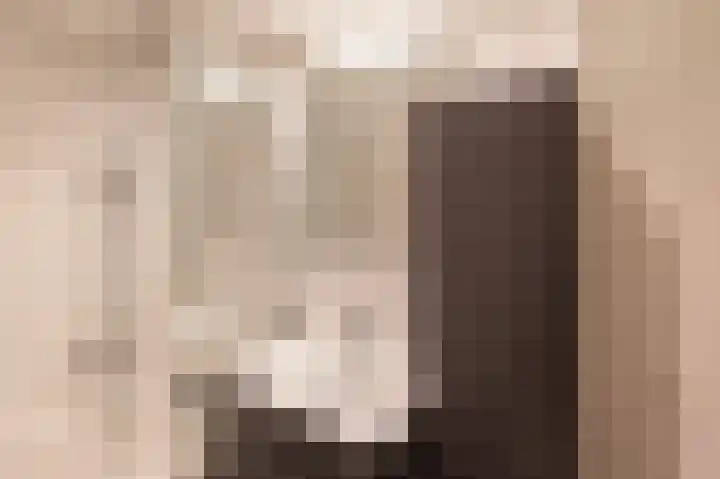 Rosmolen 22 Wijk bij Duurstede thumbnail 35