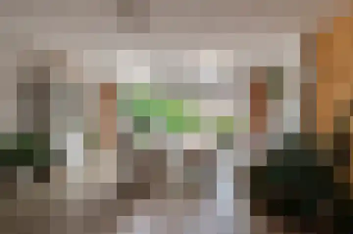 Rosmolen 22 Wijk bij Duurstede thumbnail 4