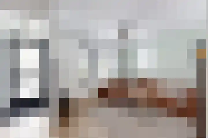 Rosmolen 22 Zevenbergen thumbnail 10