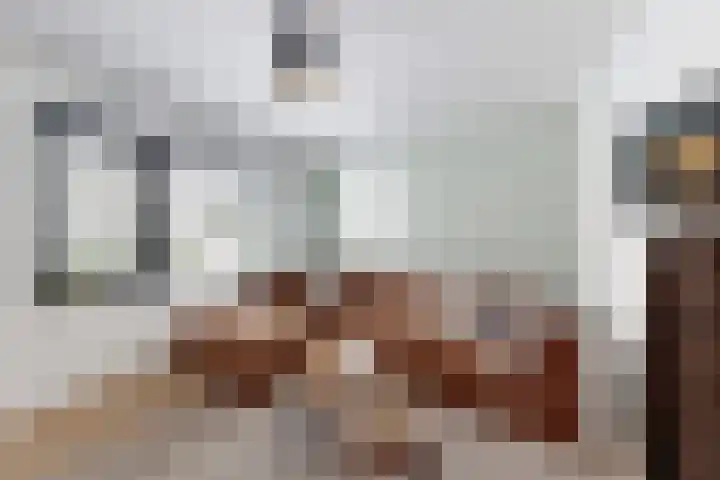 Rosmolen 22 Zevenbergen thumbnail 11