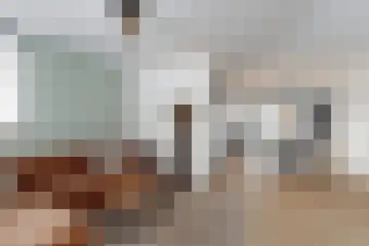 Rosmolen 22 Zevenbergen thumbnail 13