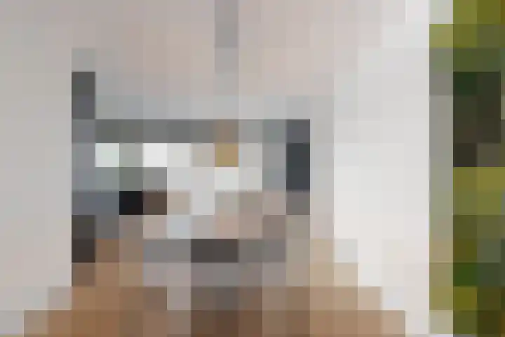 Rosmolen 22 Zevenbergen thumbnail 16
