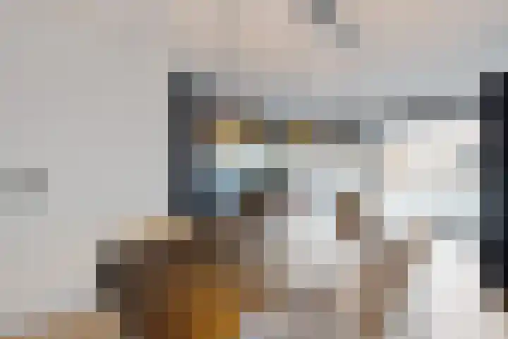 Rosmolen 22 Zevenbergen thumbnail 17